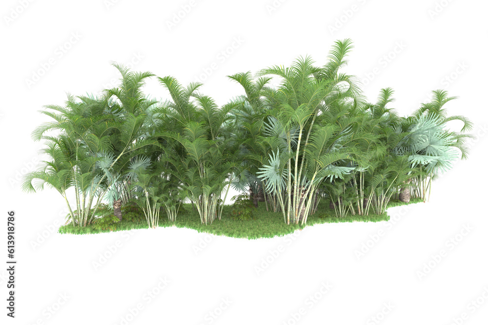 Tropical island on transparent background. 3d rendering - illustration