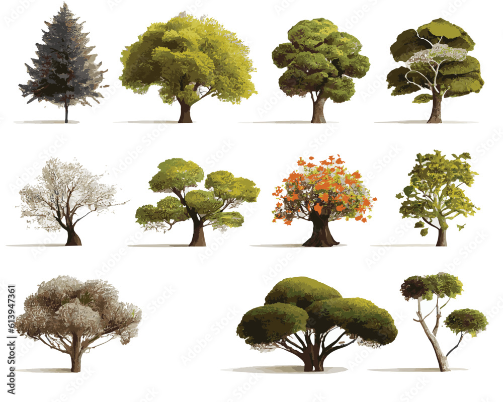 Vector illustration set of beautiful trees on white background