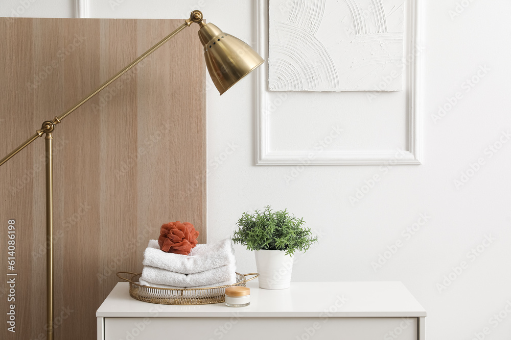 Bath accessories with houseplant on shelf in light room