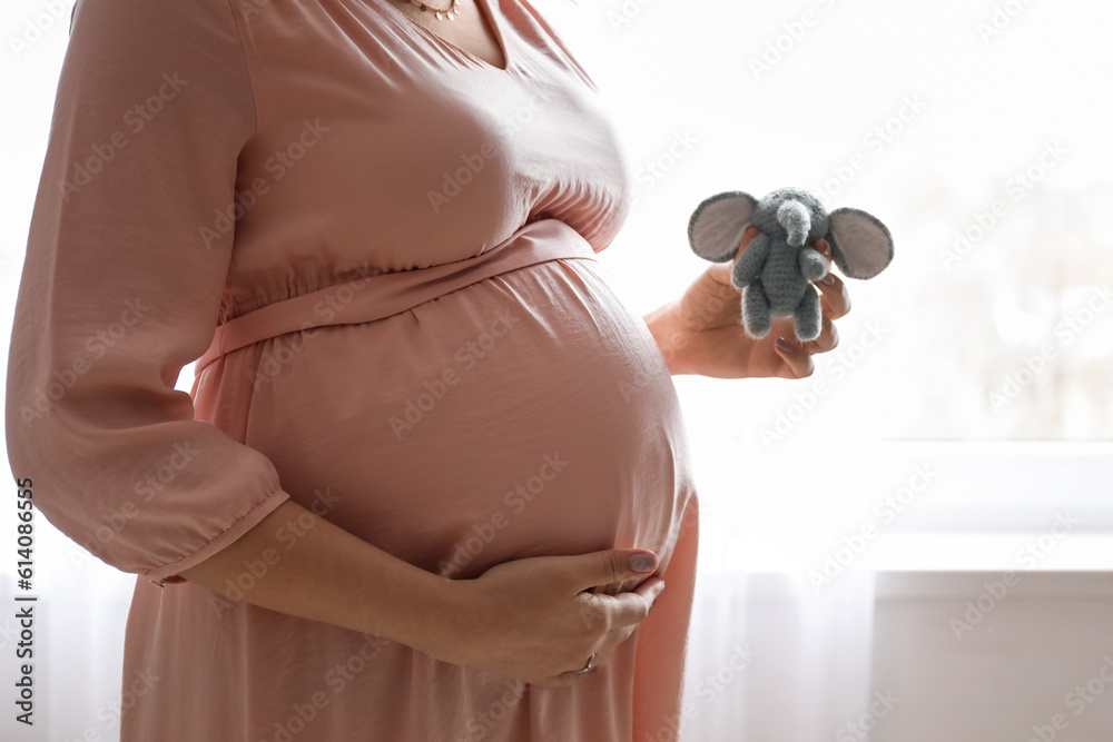 Young pregnant woman with toy elephant near window at home, closeup