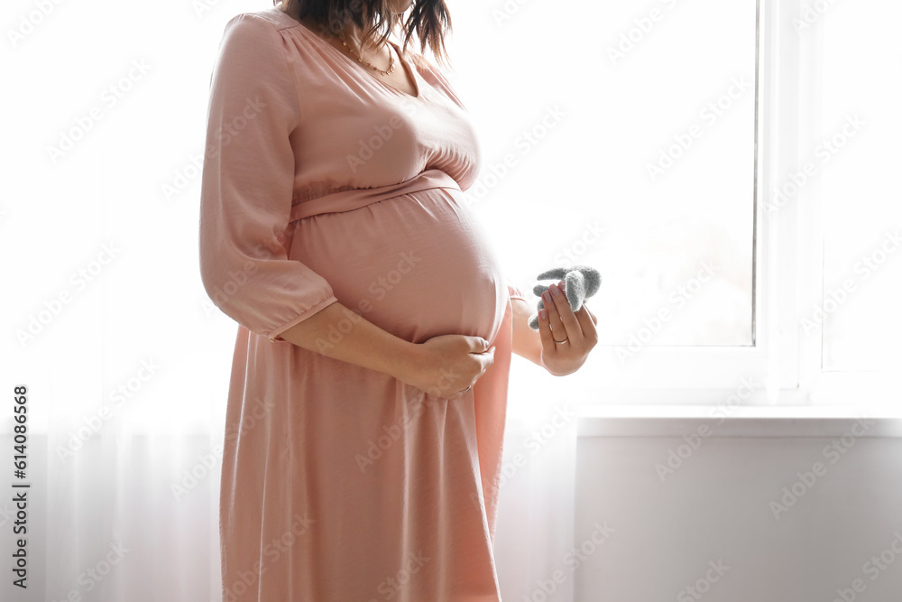 Young pregnant woman with toy elephant near window at home