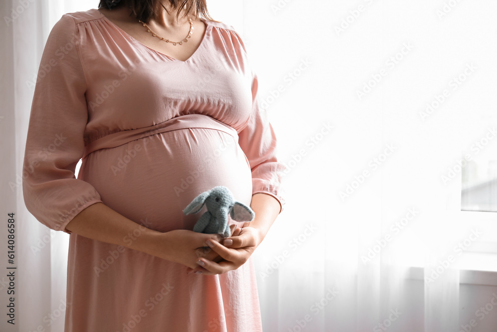 Young pregnant woman with toy elephant near window at home, closeup