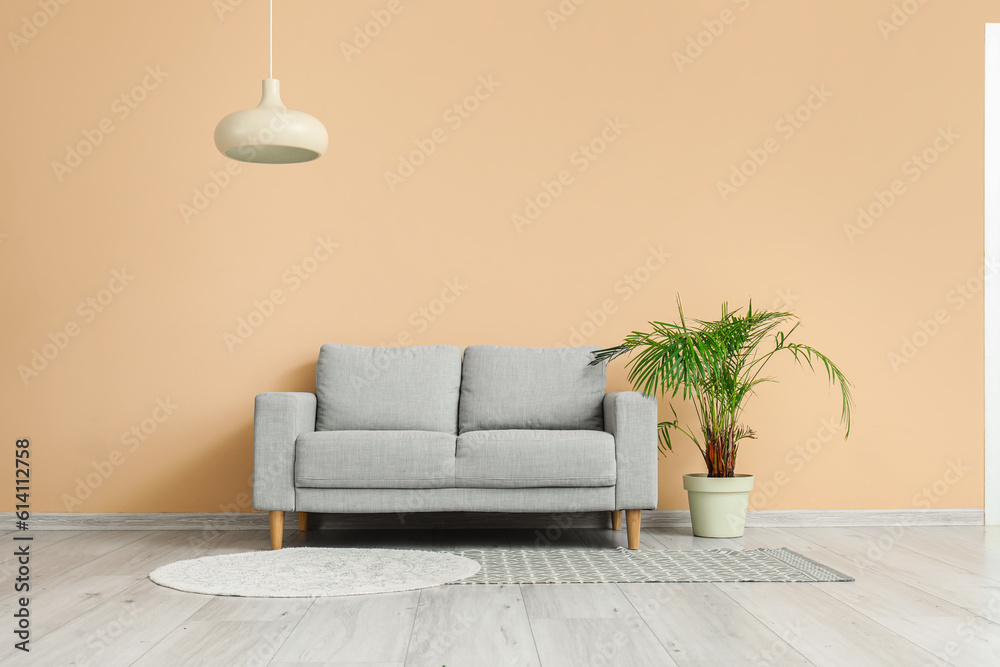 Cozy grey sofa and houseplant near beige wall