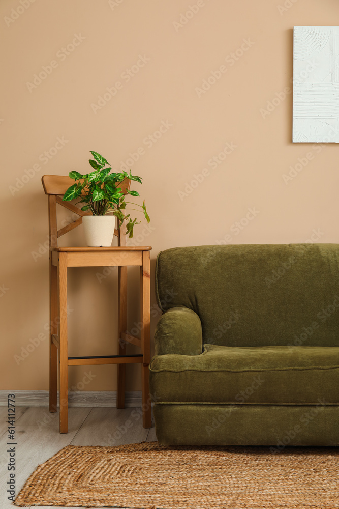 Cozy grey sofa and houseplant on stool near beige wall