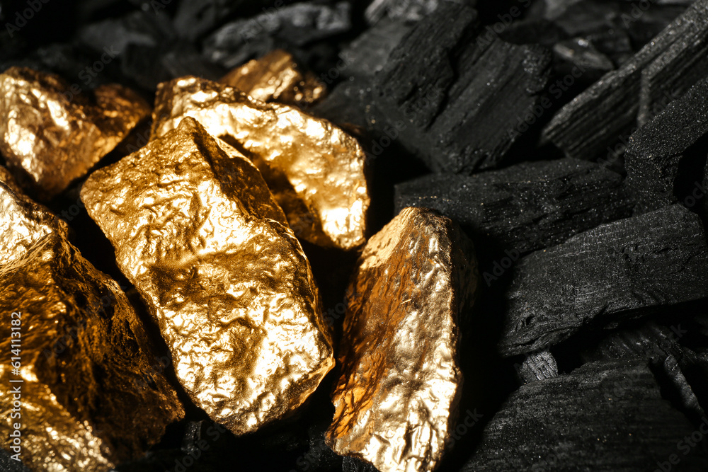 Golden nuggets on black charcoal, closeup