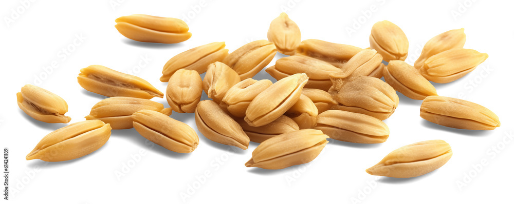 Wheat grains isolated on transparent or white background, png