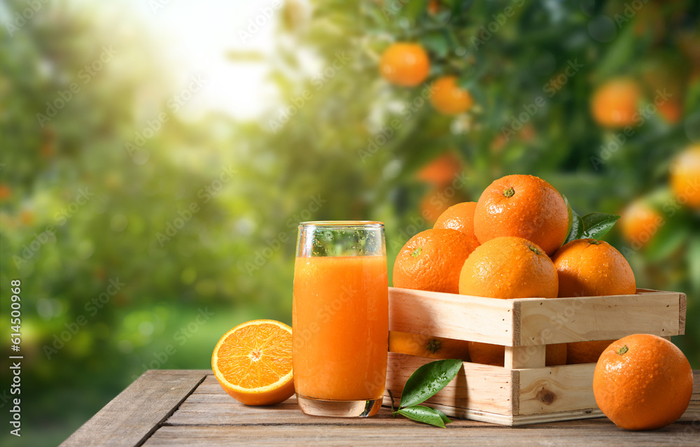 Orange juice with fresh orange in in wooden crate in orange farming background.