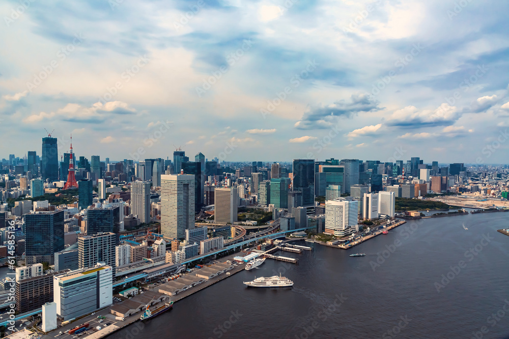 Aerial view of Odaiba Harbor in Minato City, Tokyo, Japan