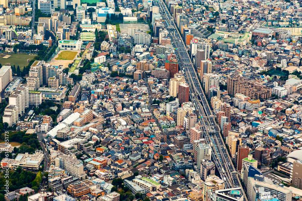 Aerial view of Minato City, Tokyo, Japan