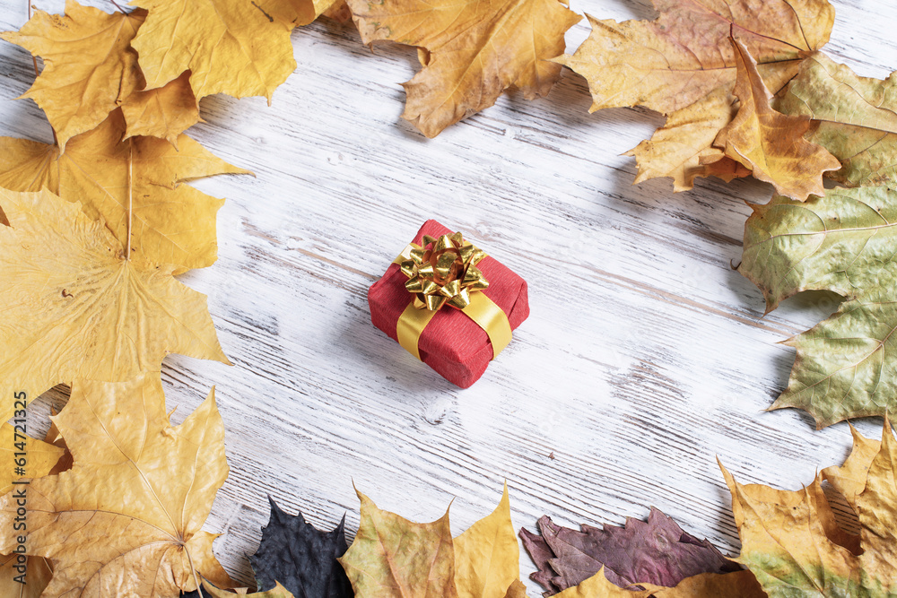 Bright autumn composition with gift box