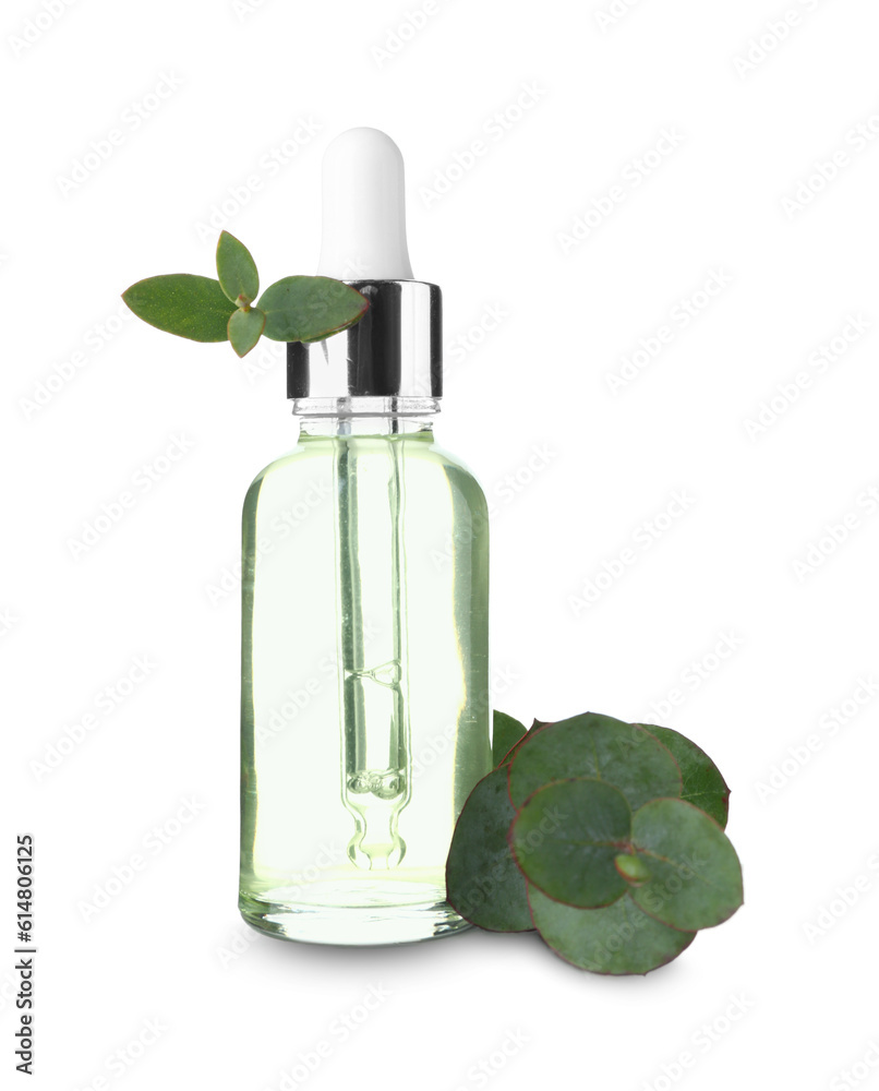 Bottle of cosmetic oil with eucalyptus twig on white background