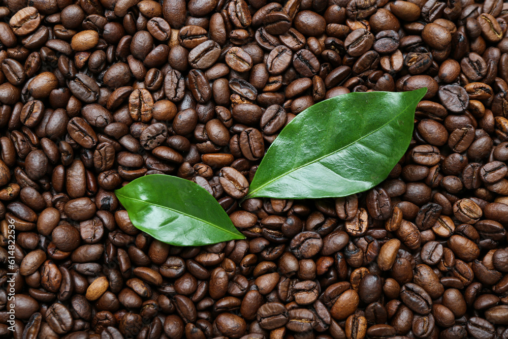 Green leaves with coffee beans as background