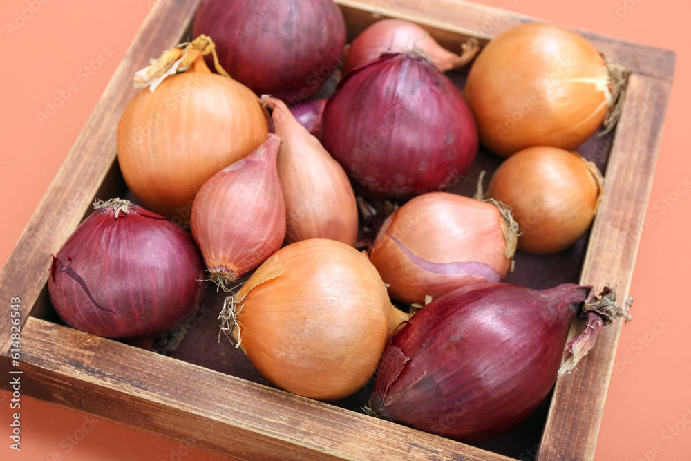 Wooden board with different kinds of onion on coral background, closeup