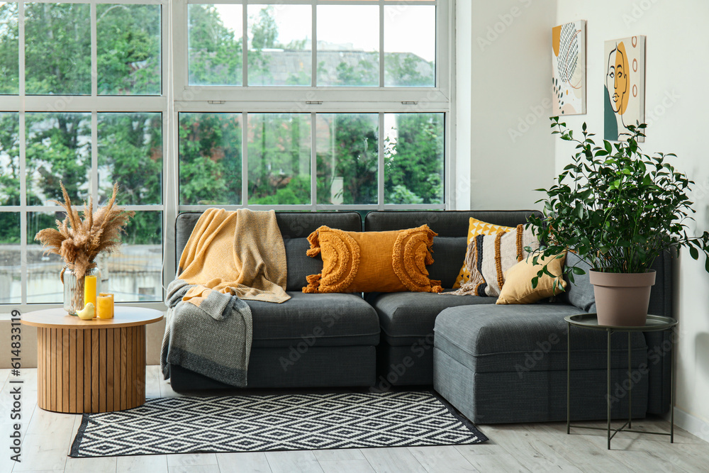 Interior of light living room with cozy grey sofa, coffee table and houseplants