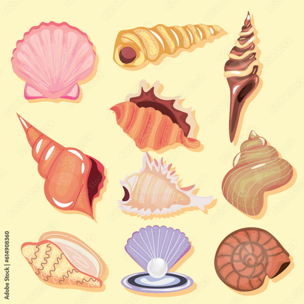 Set of beautiful sea shells on light background