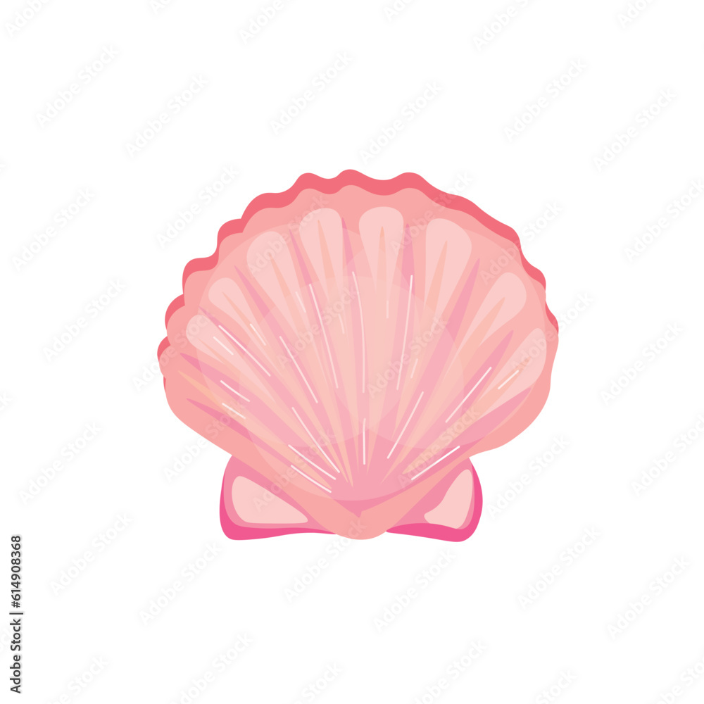 Beautiful sea shell on white background