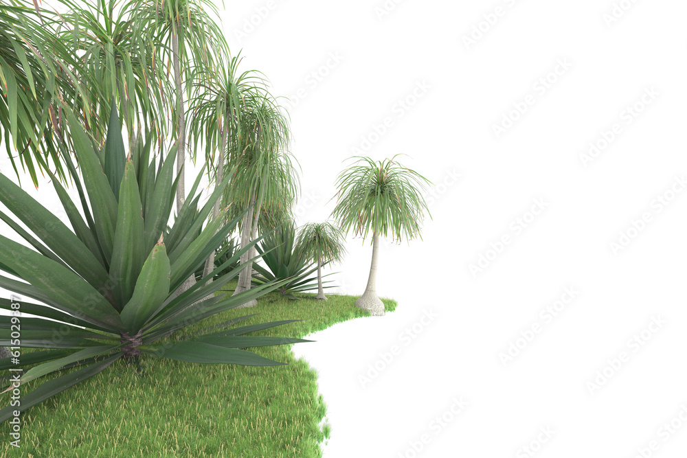 Tropical forest isolated on transparent background. 3d rendering - illustration