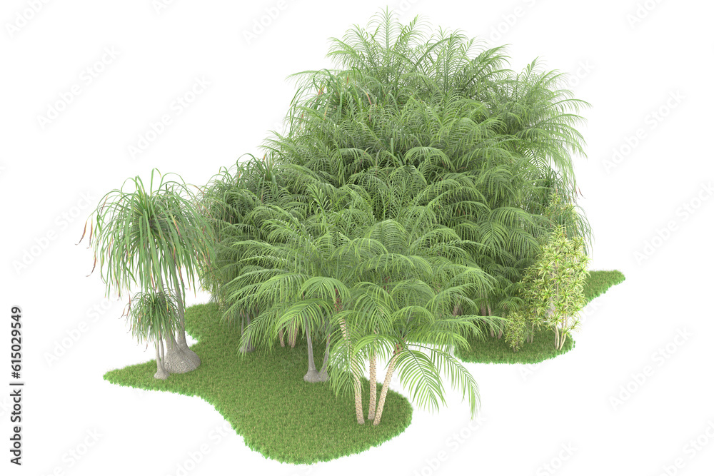 Tropical forest isolated on transparent background. 3d rendering - illustration