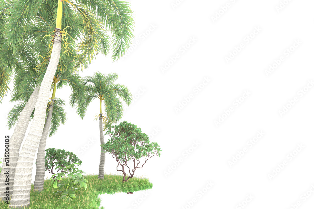 Tropical forest isolated on transparent background. 3d rendering - illustration