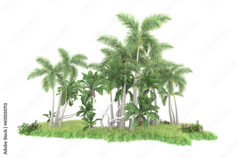 Tropical forest isolated on transparent background. 3d rendering - illustration