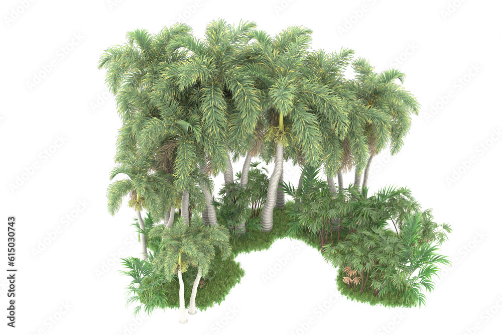 Tropical forest isolated on transparent background. 3d rendering - illustration