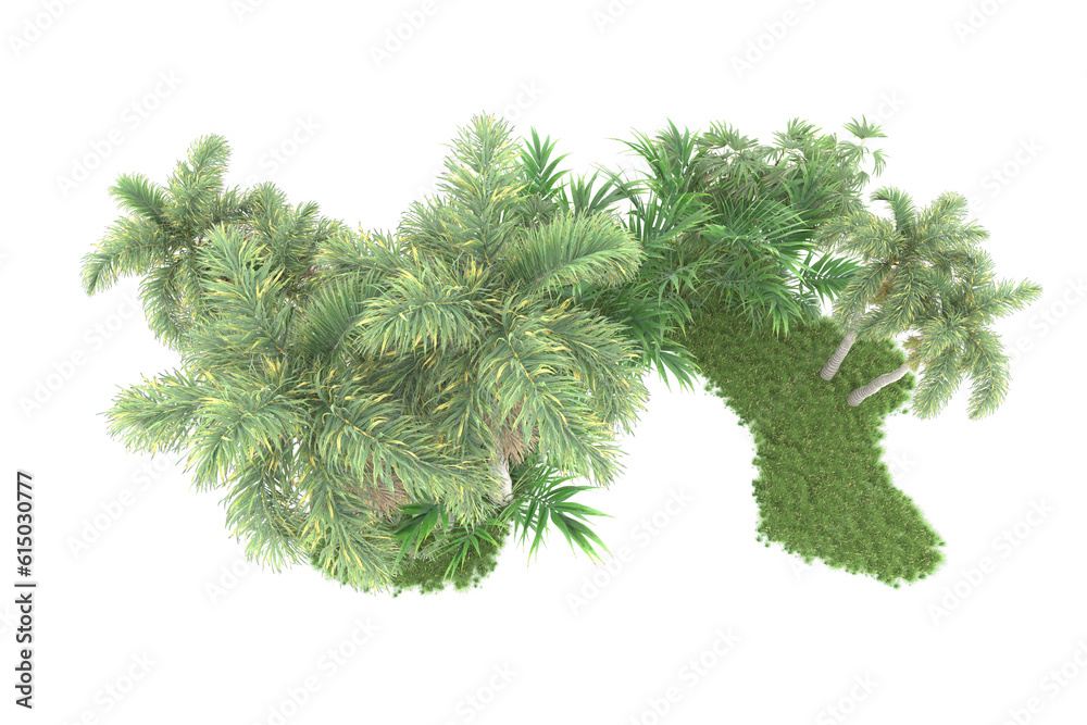 Tropical forest isolated on transparent background. 3d rendering - illustration