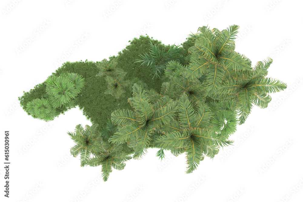 Tropical forest isolated on transparent background. 3d rendering - illustration