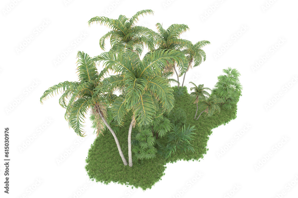 Tropical forest isolated on transparent background. 3d rendering - illustration