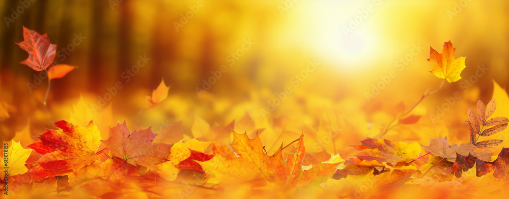 Colorful universal natural panoramic autumn background for design with orange leaves and blurred bac