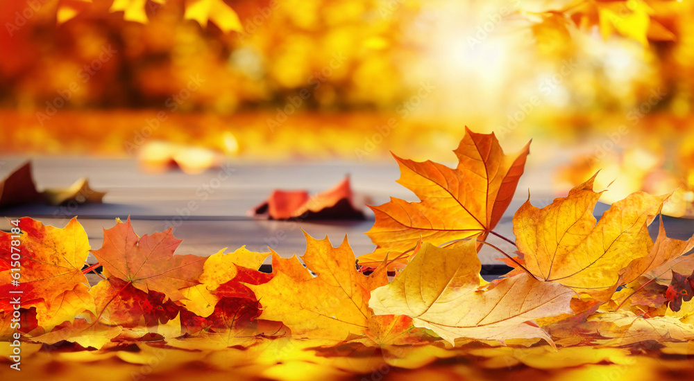 Beautiful orange leaves on a wooden table in the autumn park. Natural autumn background with blur.