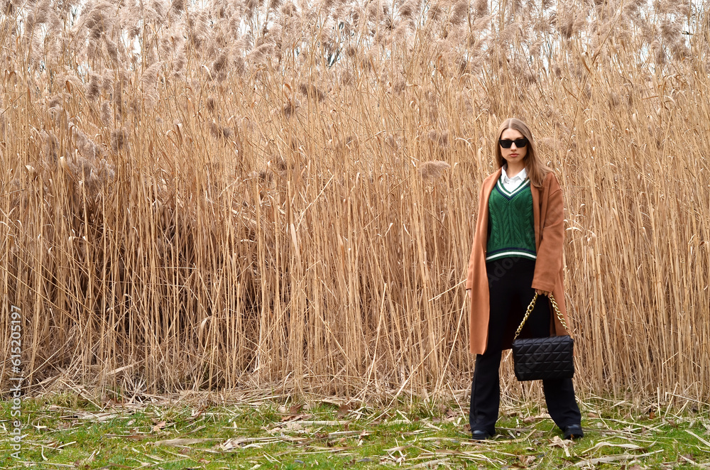 Stylish young woman near pampas grass outdoors