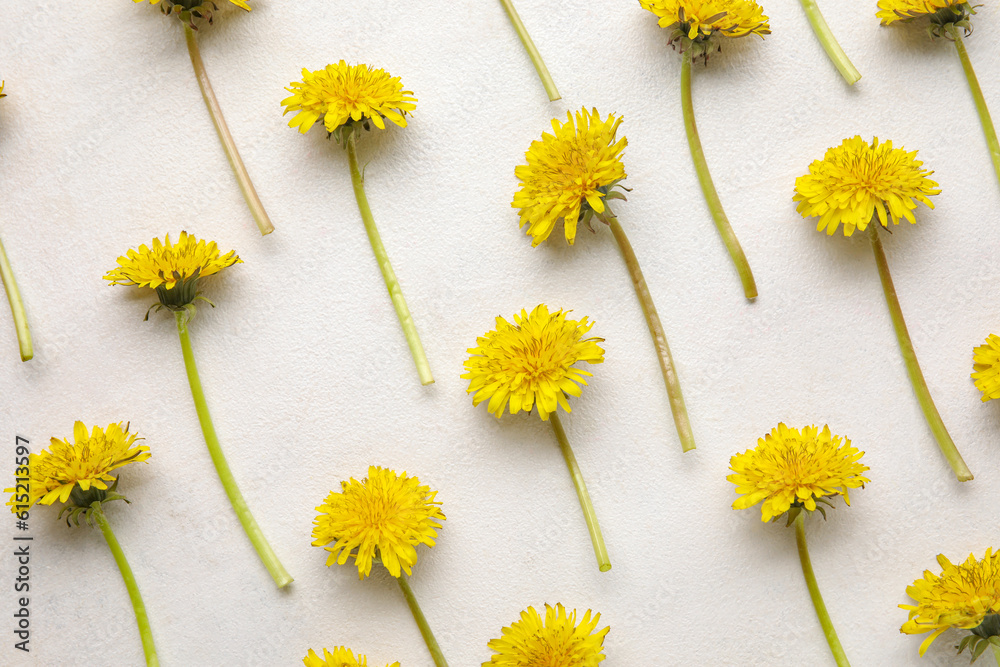 Bright yellow dandelions on white background