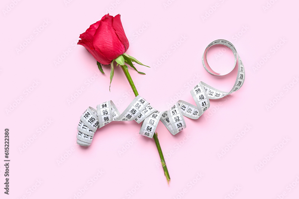 Beautiful rose flower with measuring tape on pink background