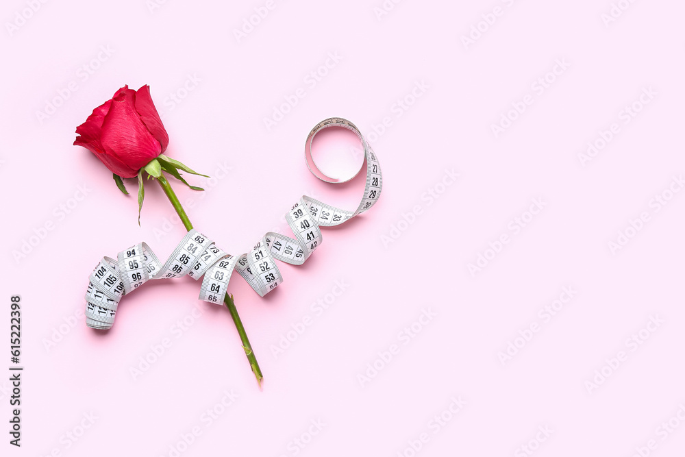 Beautiful rose flower with measuring tape on pink background