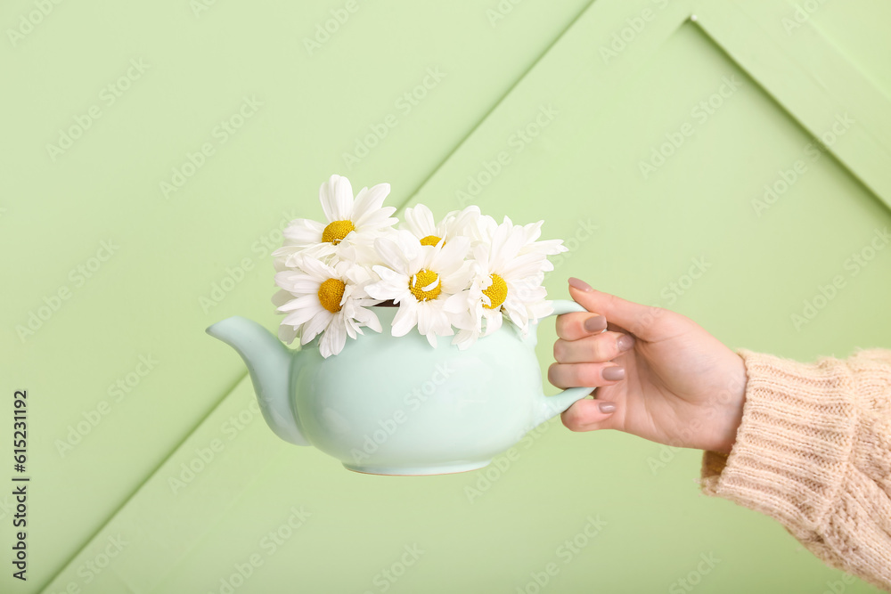 Female hand with teapot of chamomile tea and flowers near green wall