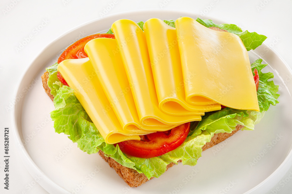 cheese slices and tomato sandwich on a white plate.