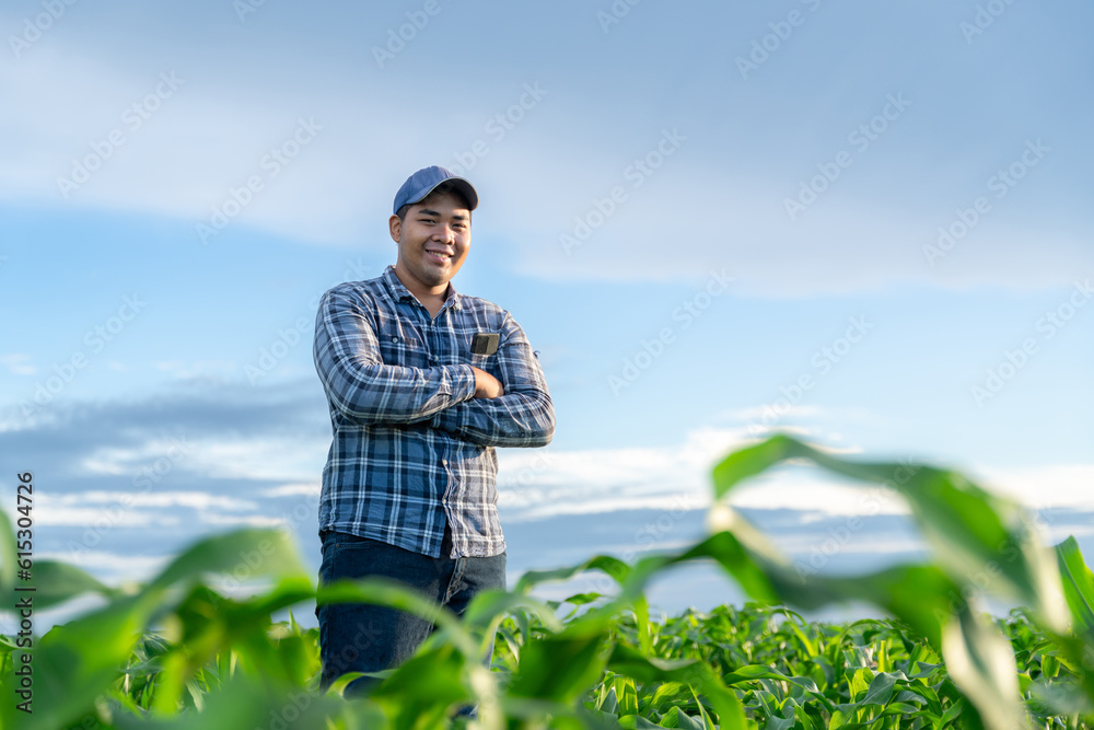 Asian young farmer stands confidently in the growing green corn fields.