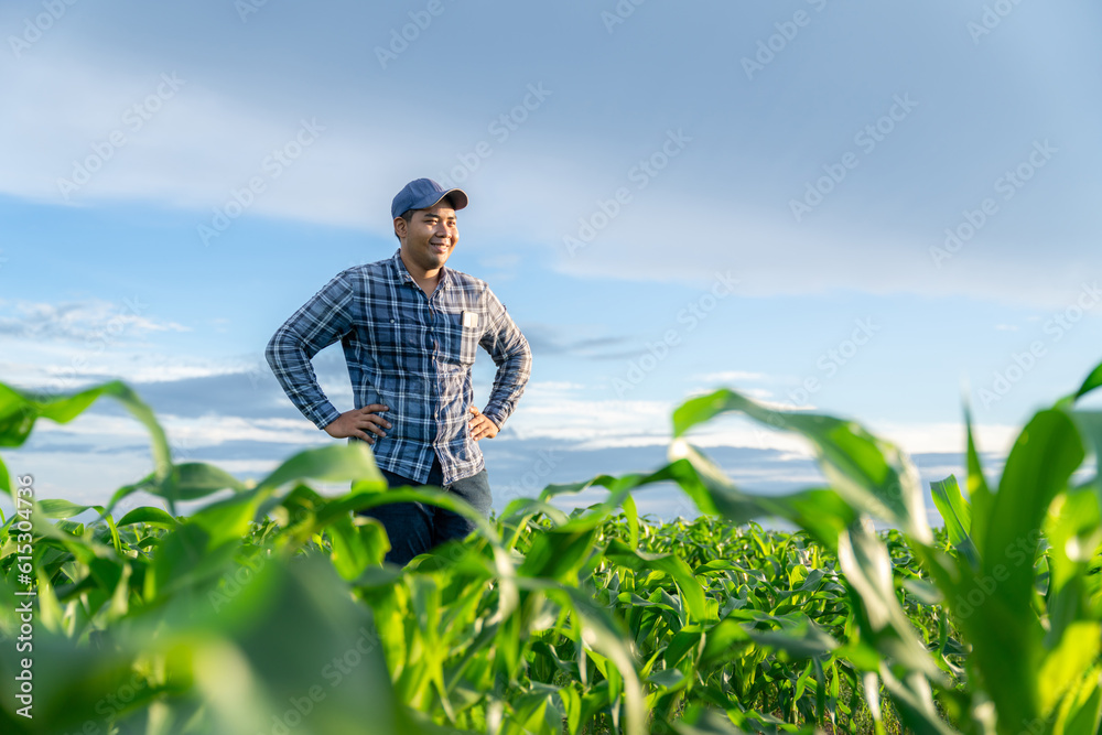 Asian young farmer stands happily looking at the corn stalks in his growing corn field.