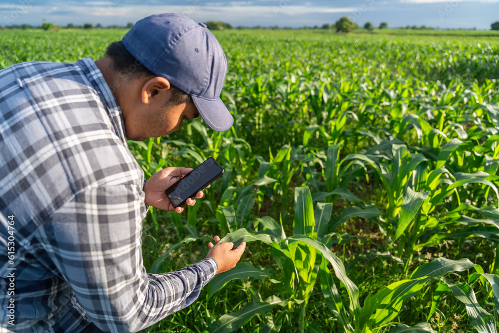 Close up of Agriculturist utilize the core data network in the Internet from the mobile to validate 