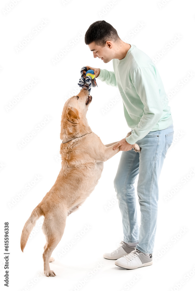 Young man playing with cute Labrador dog on white background