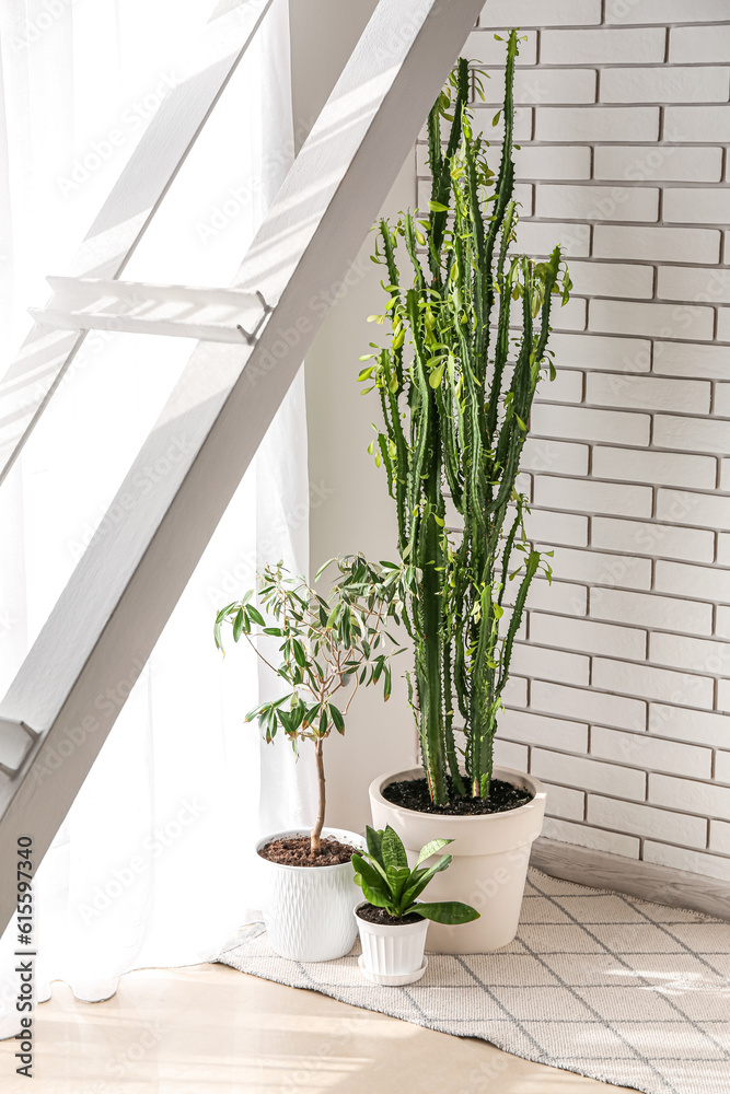 Green houseplants near white brick wall in room