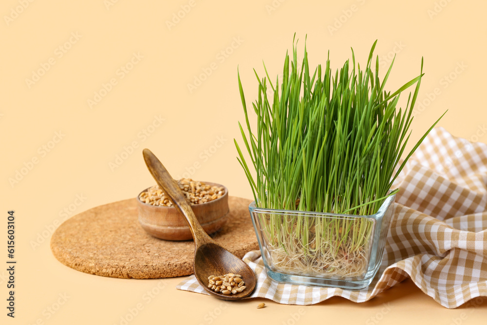 Fresh wheatgrass and spoon on beige background