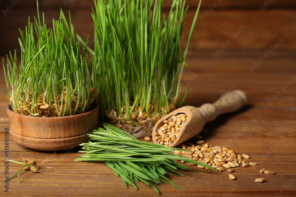 Bowl with fresh wheatgrass on brown wooden table