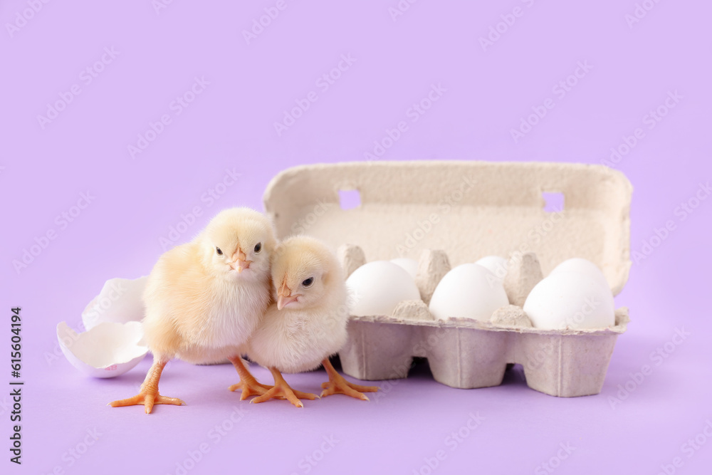 Cute little chicks with eggs on lilac background