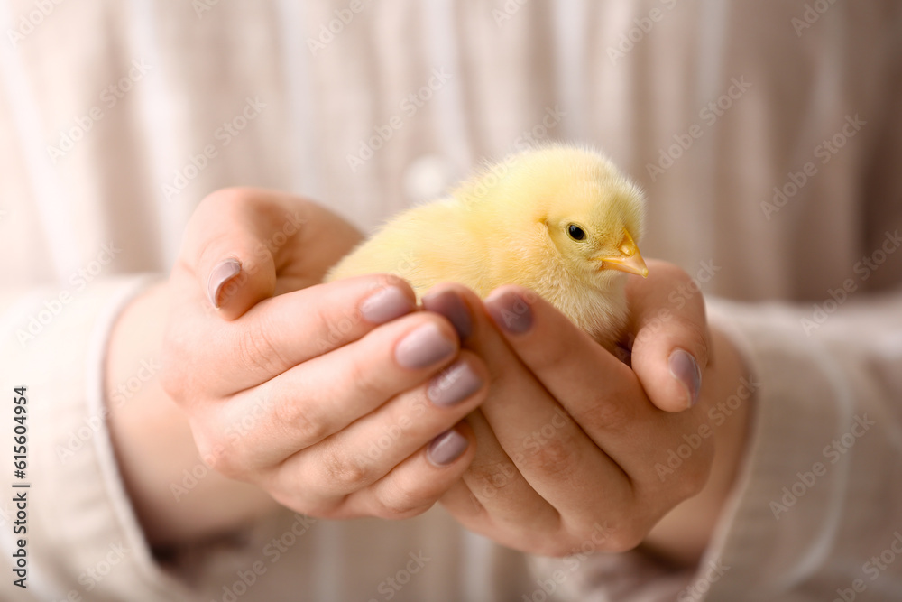 Beautiful young woman holding cute yellow chick