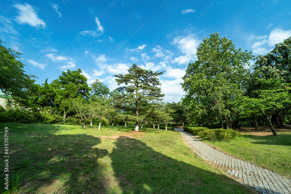 Outdoor city garden landscape street view