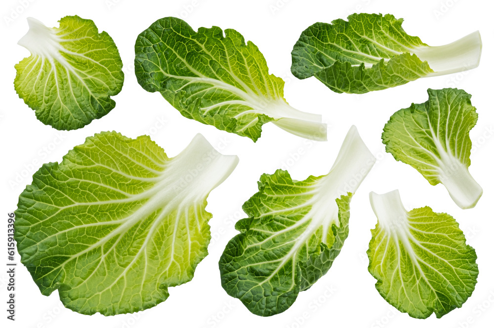 Bok Choy isolated on white background, Chinese cabbage