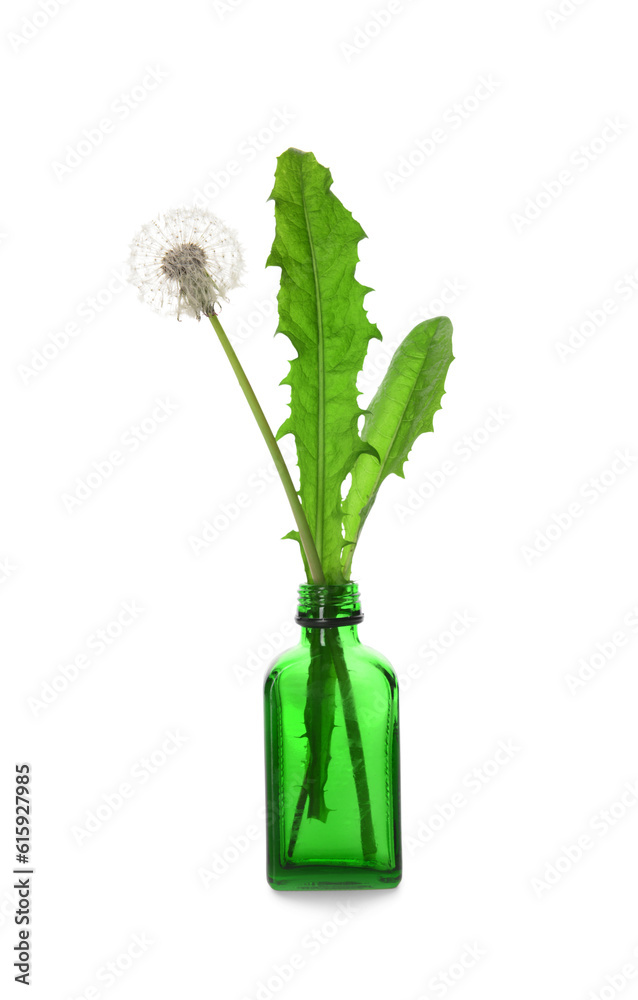 Bottle with dandelion flower and leaves on white background