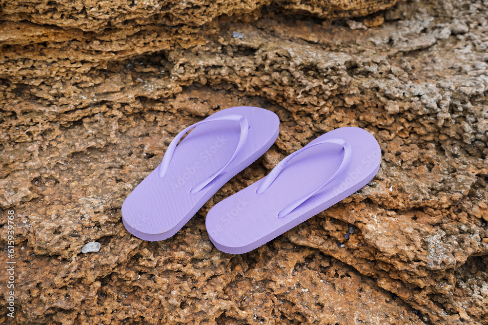 Stylish lilac flip-flops on rock