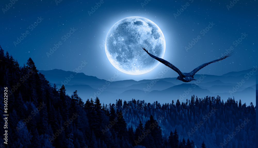 Beautiful landscape with blue misty silhouettes of mountains - Night sky with moon in the clouds wit